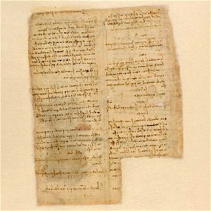 Codex Atlanticus - 000V-195