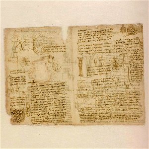 Codex Atlanticus - 000V-226