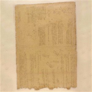 Codex Atlanticus - 000V-249