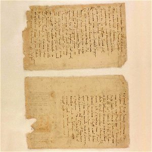 Codex Atlanticus - 000V-202