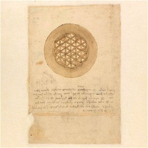 Codex Atlanticus - 000V-309