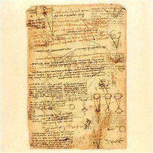 Codex Atlanticus - 000V-310