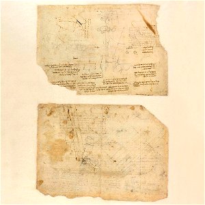Codex Atlanticus - 000V-318