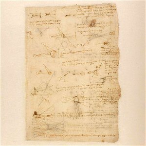 Codex Atlanticus - 000V-392