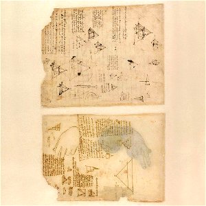 Codex Atlanticus - 000V-395