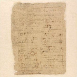 Codex Atlanticus - 000V-433