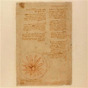 Codex Atlanticus - 000V-623