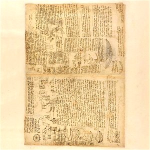 Codex Atlanticus - 000V-635