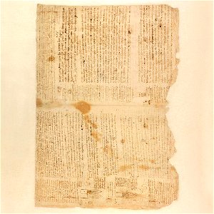 Codex Atlanticus - 000V-728