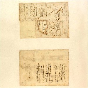 Codex Atlanticus - 000V-785