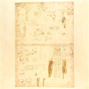 Codex Atlanticus - 000V-77