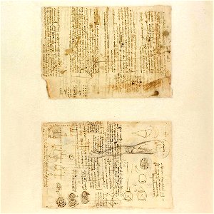 Codex Atlanticus - 000V-784