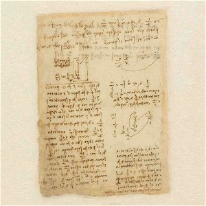 Codex Atlanticus - 000V-772
