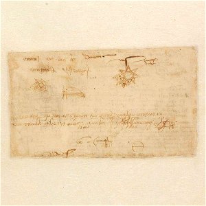 Codex Atlanticus - 000V-790