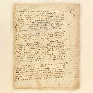 Codex Atlanticus - 000V-845