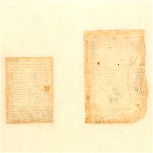 Codex Atlanticus - 000V-914