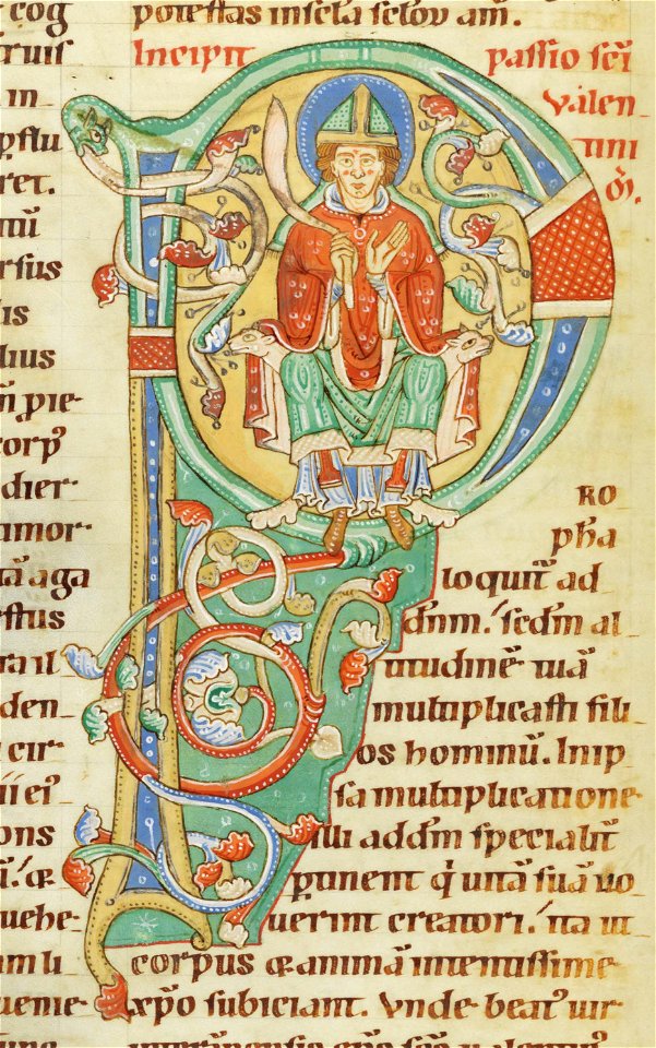 Codex Bodmer 127 042v Detail