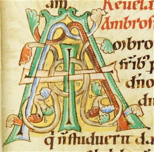 Codex Bodmer 127 109r Detail