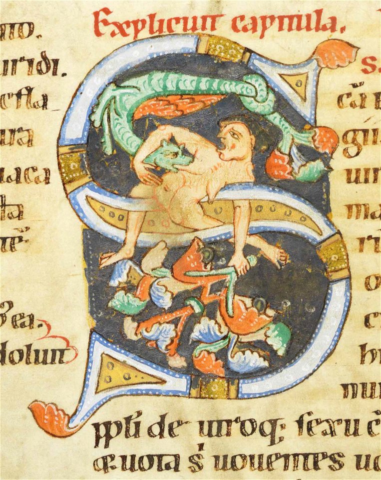 Codex Bodmer 127 165v Detail