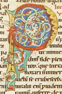 Codex Bodmer 127 028v Detail