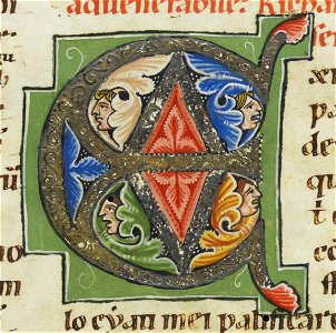Codex Bodmer 127 262r Detail