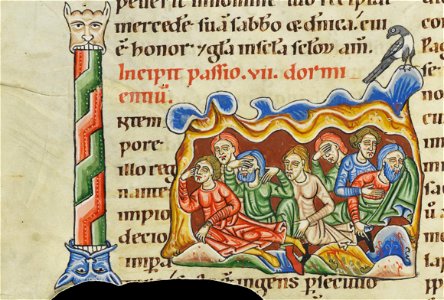 Codex Bodmer 127 125v Detail