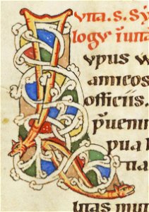 Codex Bodmer 127 223v Detail