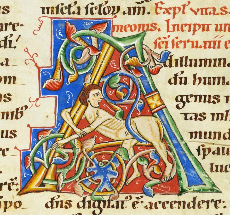 Codex Bodmer 127 238r Detail