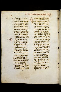 Codex Boreelianus-UBU Hs. 1-f.169v