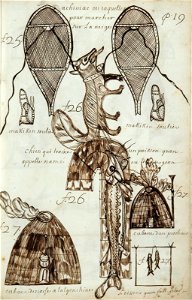 Codex canadensis, p. 19