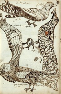 Codex canadensis, p. 43