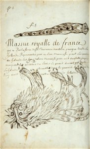 Codex canadensis, p. 01
