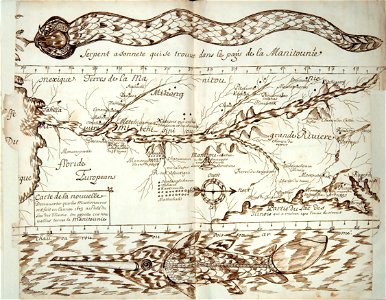 Codex canadensis, troisieme de couverture