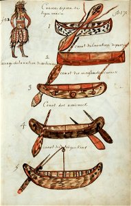 Codex canadensis, p. 17