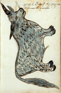 Codex canadensis, p. 79