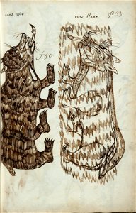 Codex canadensis, p. 33