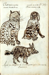 Codex canadensis, p. 74