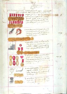 Codex Sierra 24