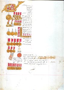 Codex Sierra 49