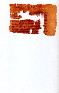 Codex Tchacos p41