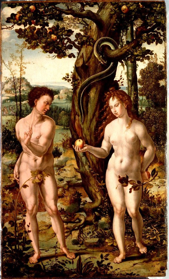 Coecke van Aelst, Pieter (follower) - The Fall of Man - Google Art Project