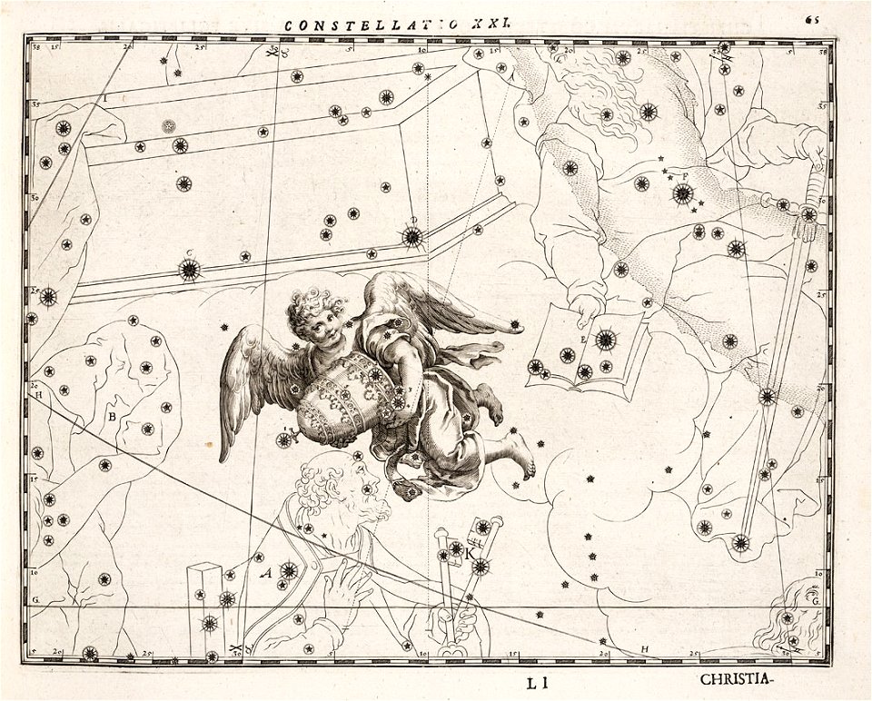 Coelum Stellatum Christianum 19