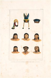 Coifferes, et suite de têtes de différentes castes sauvages, da Coleção Brasiliana Iconográfica
