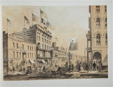 Col. Wood's Museum (NBY 1800)