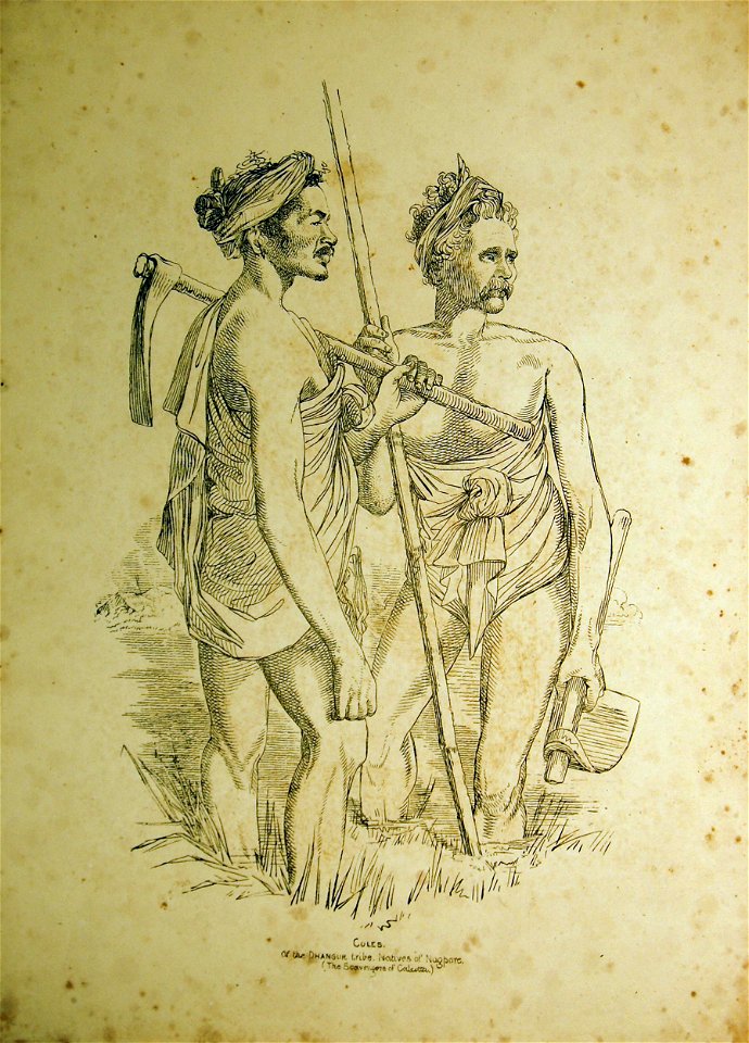 Coles (BM As2006,Prt.283)