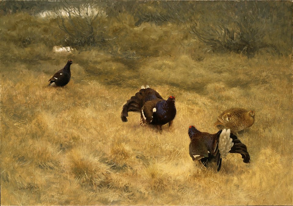 Blackgame in Springtime (Bruno Liljefors) - Nationalmuseum - 18682