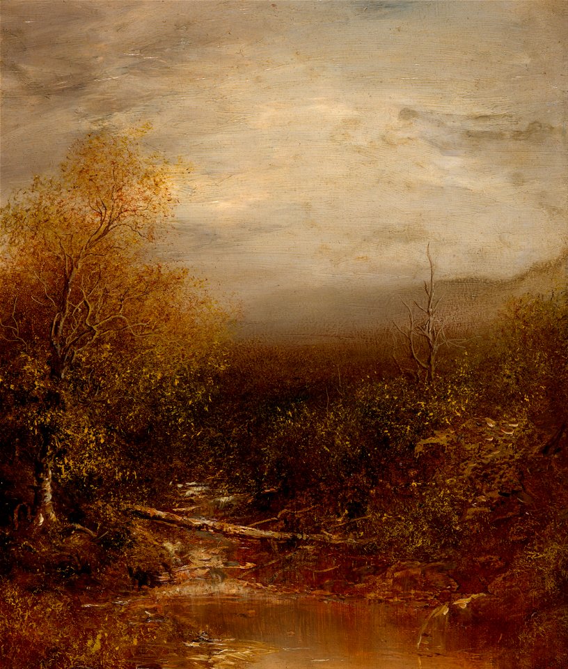 Blakelock, Ralph Albert - Pool in the Adirondacks - Google Art Project