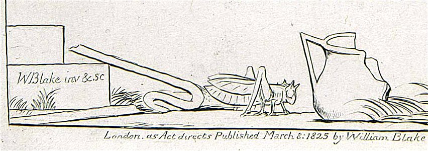 Blake-Job6-Detail-2