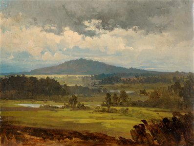 Blauberg Wolmari juures, Julie Wilhelmine Hagen-Schwarz, TKM TR 4380 M 729