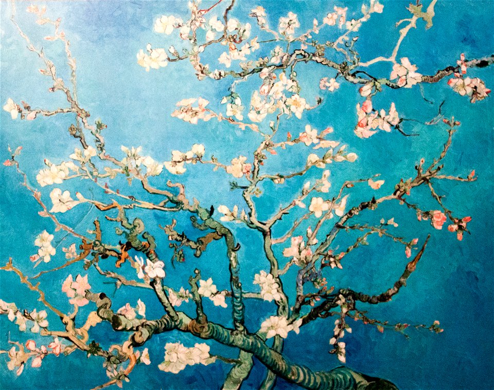 Blossoming Almond Tree (JH 1891) - My Dream